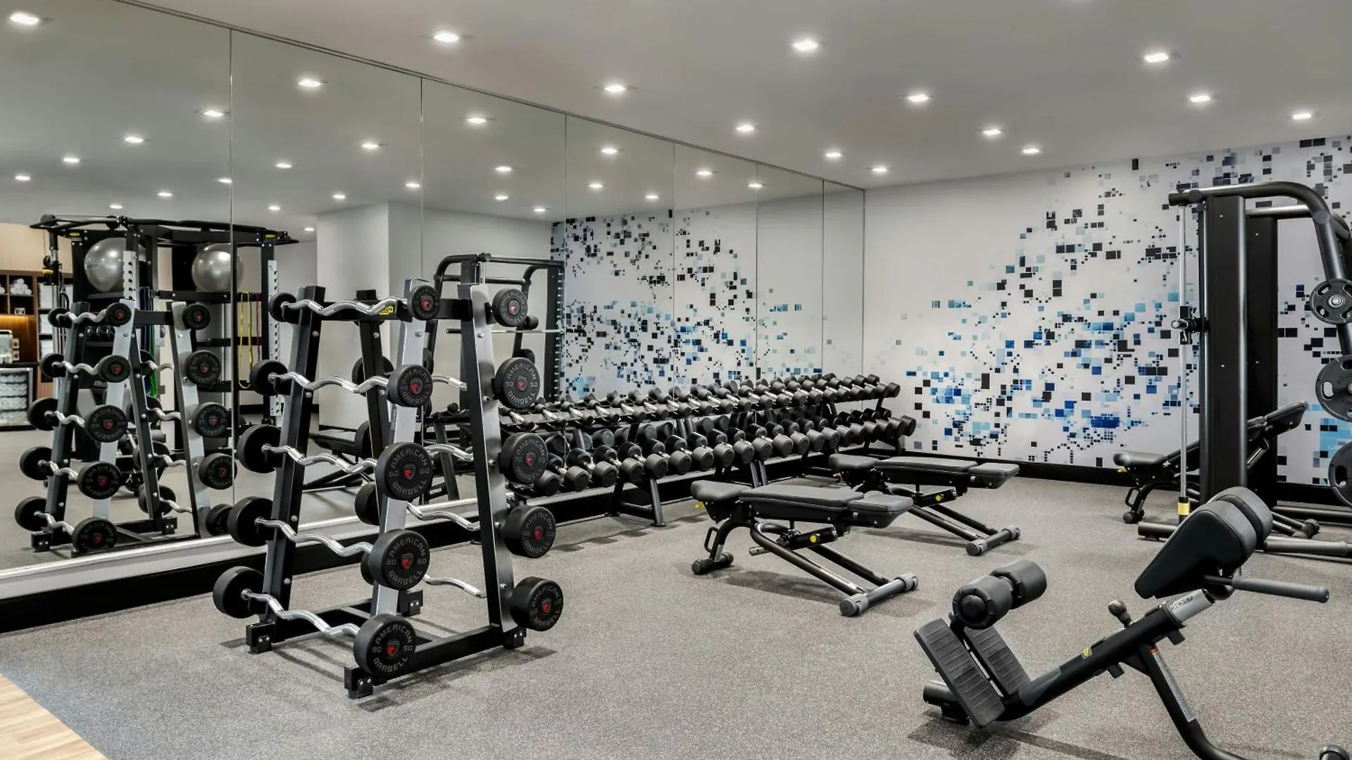 فندق شيراتون Centre Toronto